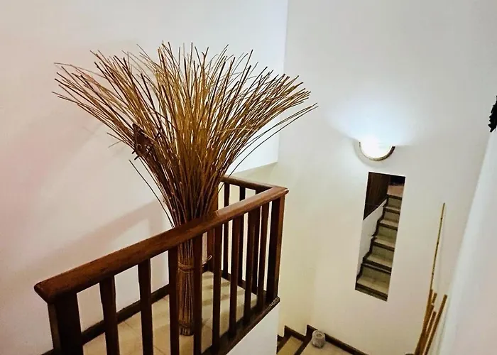 Hébergement de vacances Casa Suami *