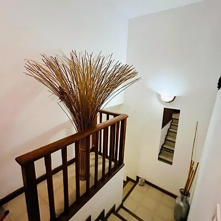 度假居 Casa Suami *